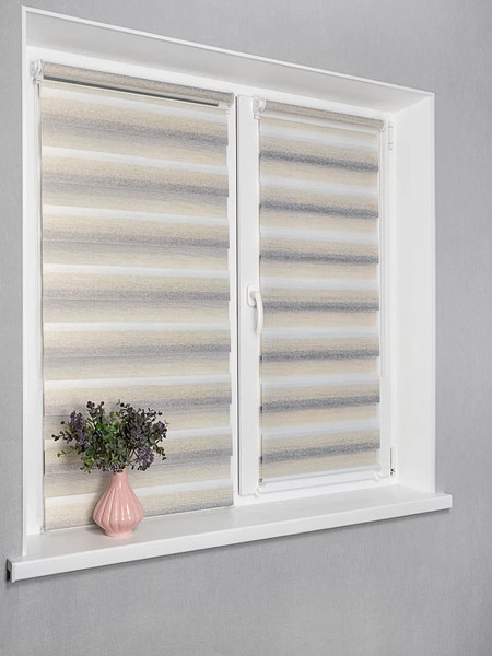 Изображение товара Рулонная штора Lm Decor Дабл ДН LB 55-02 67x160 (бежевый/серый)