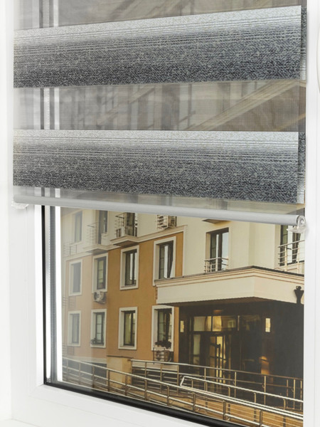 Изображение товара Рулонная штора Lm Decor Дабл ДН LB 55-04 110x160 (серый)