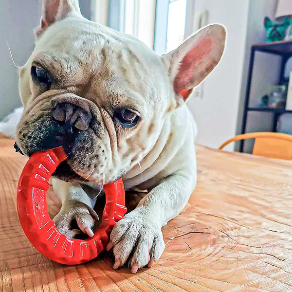 Изображение товара Игрушка для собак Ferplast Кольцо M / 86792012 (красный)