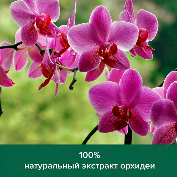 Изображение товара Мыло жидкое Palmolive Натурэль Роскошная мягкость. Черная орхидея (300мл)