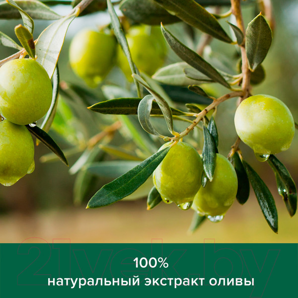 Изображение товара Гель для душа Palmolive Натурэль Интенсивное увлажнение. Олива и Увлажняющее молочко (750мл)