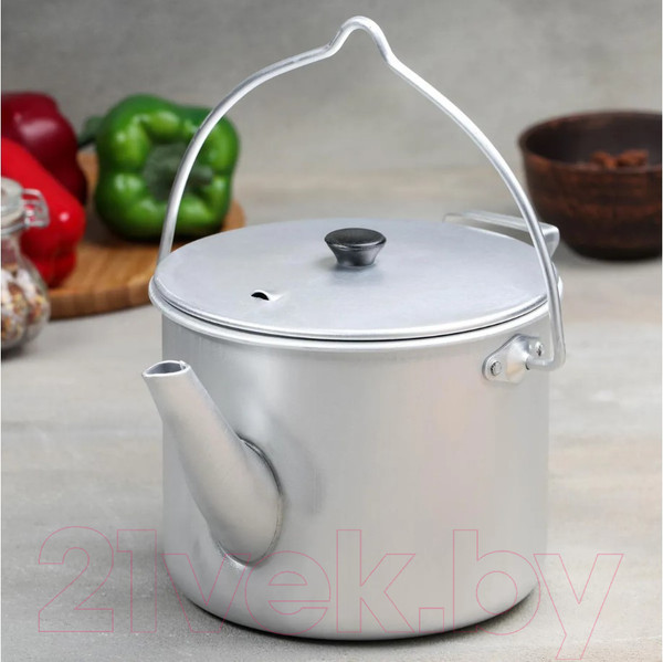 Изображение товара Чайник походный Эрг-Ал Турист Э01862