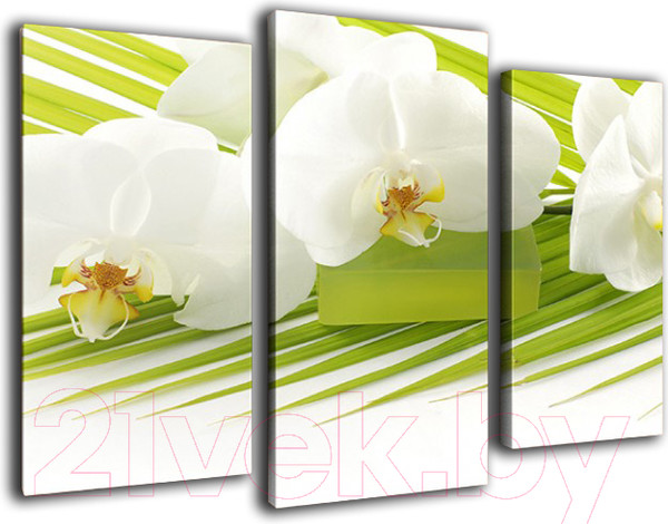 Изображение товара Картина модульная Arthata m-000262 (90x60)