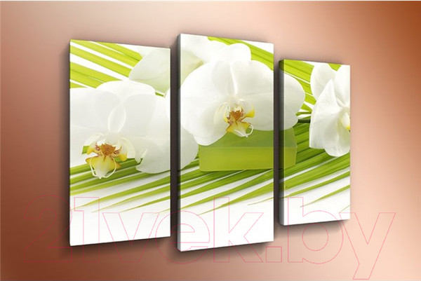 Изображение товара Картина модульная Arthata m-000262 (90x60)