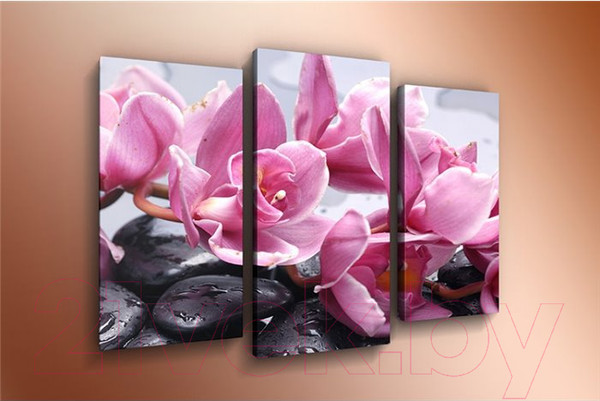 Изображение товара Картина модульная Arthata m-000264 (75x50)