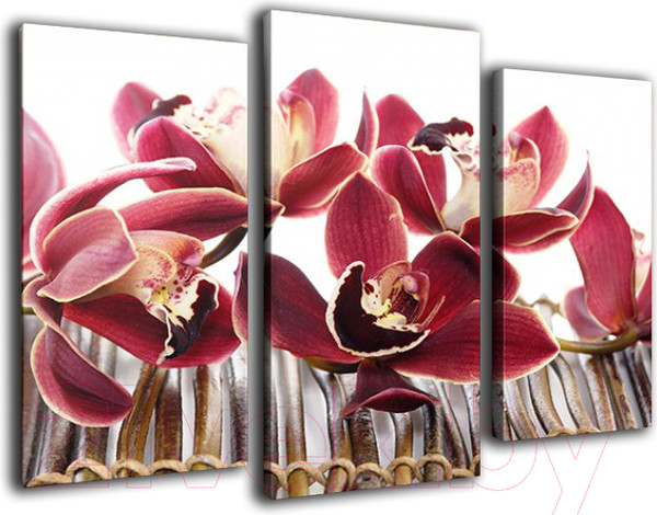 Изображение товара Картина модульная Arthata m-000265 (90x60)