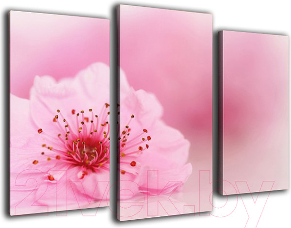 Изображение товара Картина модульная Arthata m-000269 (75x50)