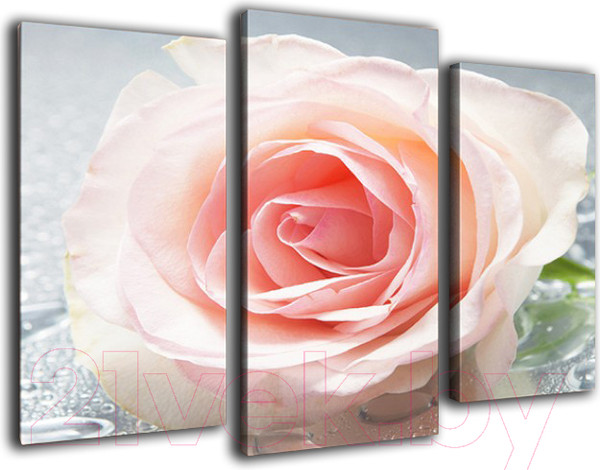 Изображение товара Картина модульная Arthata m-000273 (90x60)