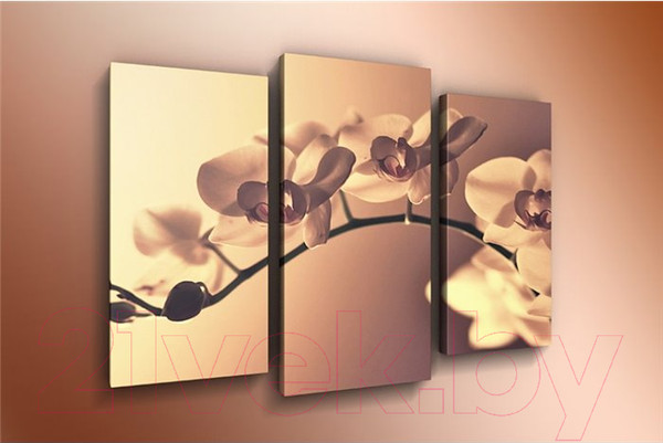 Изображение товара Картина модульная Arthata m-000274 (90x60)