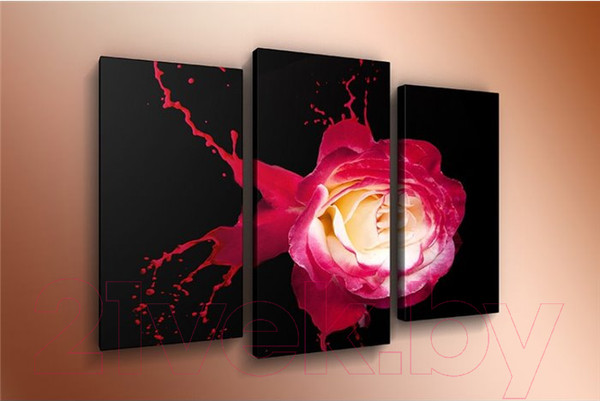 Изображение товара Картина модульная Arthata m-000275 (120x80)