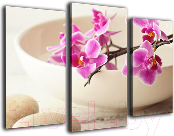 Изображение товара Картина модульная Arthata m-000277 (75x50)