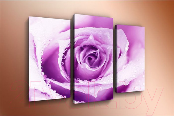 Изображение товара Картина модульная Arthata m-000278 (75x50)