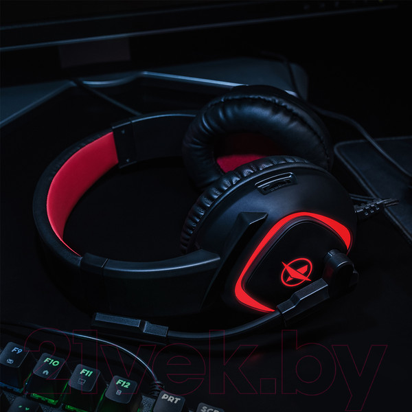 Изображение товара Наушники-гарнитура Niceboy Oryx X300