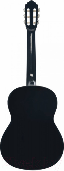 Изображение товара Акустическая гитара Veston C-45A 4/4 (с анкером)