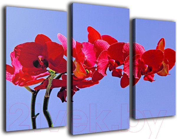 Изображение товара Картина модульная Arthata m-000279 (90x60)