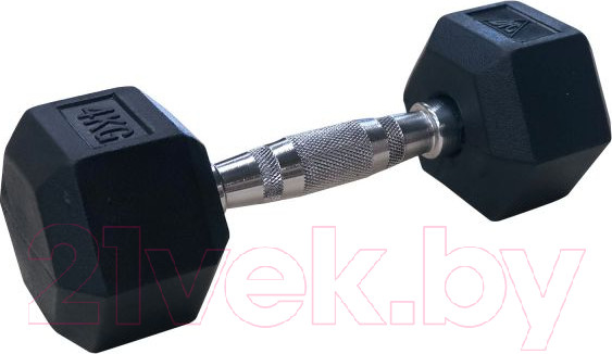 Изображение товара Набор гантелей DFC DB001-4 (2шт)