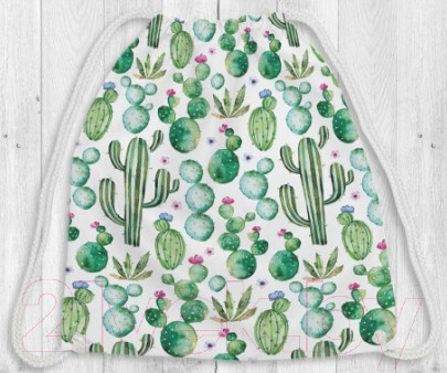Изображение товара Мешок для обуви JoyArty Кактус акварелью / bpa_30774