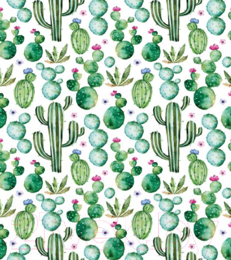 Изображение товара Мешок для обуви JoyArty Кактус акварелью / bpa_30774