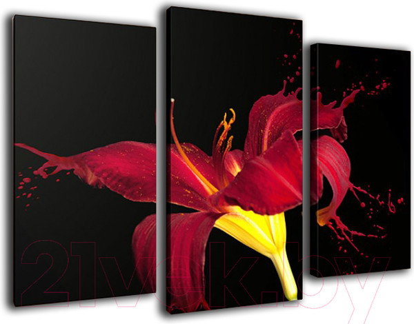 Изображение товара Картина модульная Arthata m-000284 (75x50)