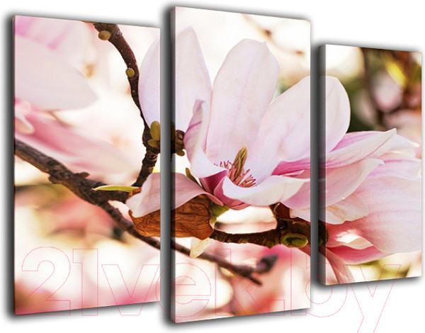 Изображение товара Картина модульная Arthata m-000288 (75x50)