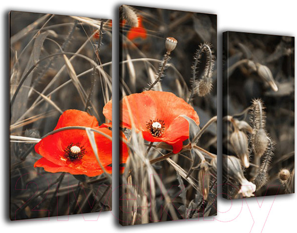 Изображение товара Картина модульная Arthata m-000289 (90x60)