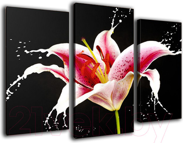 Изображение товара Картина модульная Arthata m-000291 (120x80)