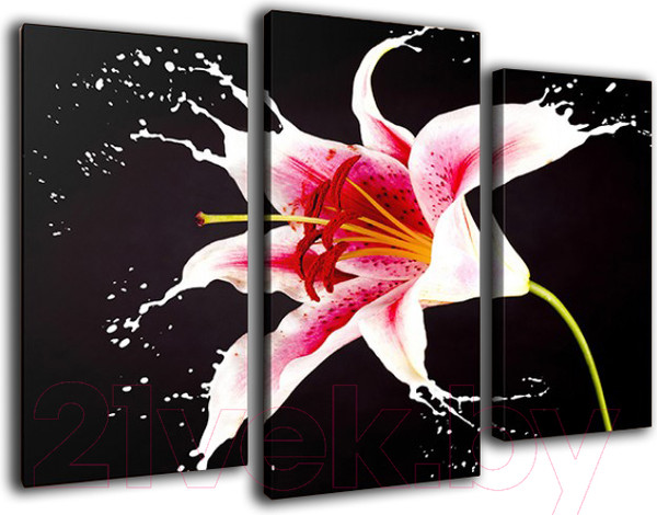 Изображение товара Картина модульная Arthata m-000292 (120x80)