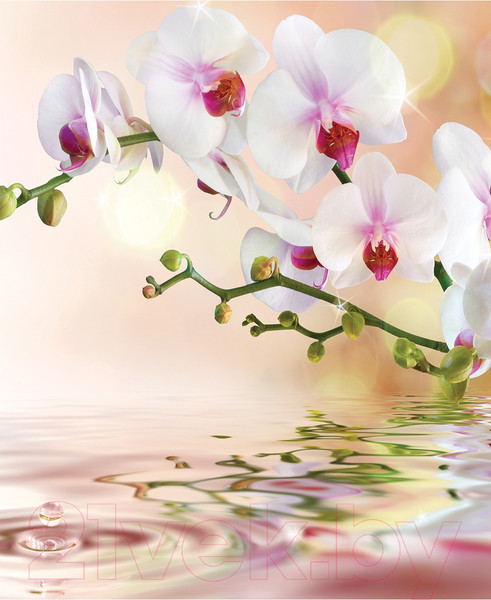 Изображение товара Сумка-шоппер JoyArty Нежная орхидея / bsh_2601