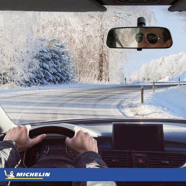 Изображение товара Зимняя шина Michelin Pilot Alpin 5 225/45R18 95V