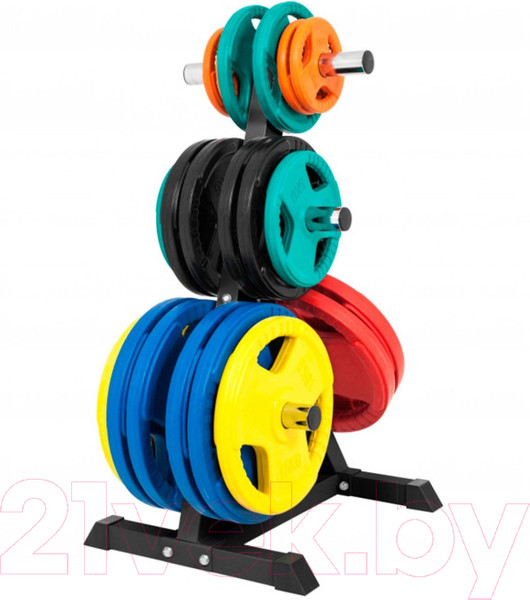 Изображение товара Стойка для спортивного инвентаря DFC RA011B (черный)