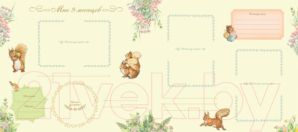 Изображение товара Альбом малыша Росмэн Мой первый год / 4680274051135