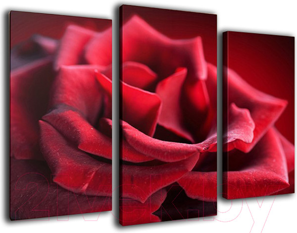 Изображение товара Картина модульная Arthata m-000294 (75x50)