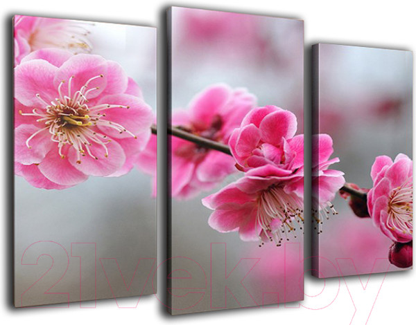 Изображение товара Картина модульная Arthata m-000296 (90x60)