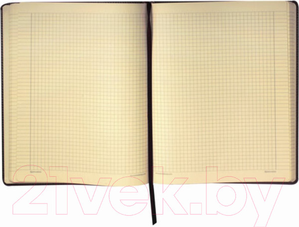 Изображение товара Записная книжка Brauberg Income / 125204 (черный)