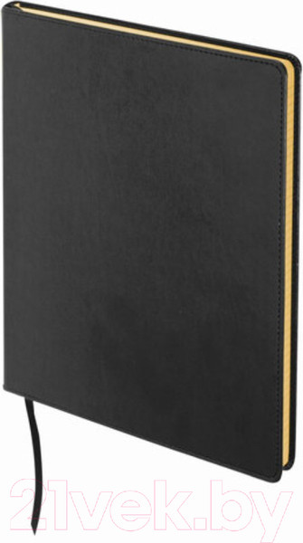 Изображение товара Записная книжка Brauberg Income / 125204 (черный)