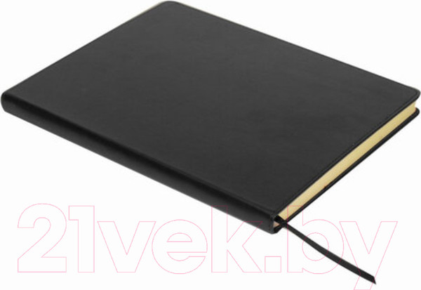 Изображение товара Записная книжка Brauberg Income / 125204 (черный)