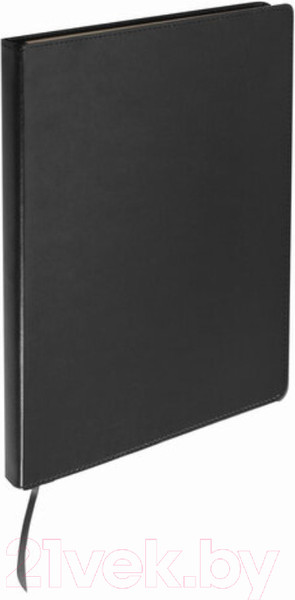 Изображение товара Записная книжка Brauberg Income / 125204 (черный)