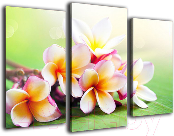 Изображение товара Картина модульная Arthata m-000297 (75x50)