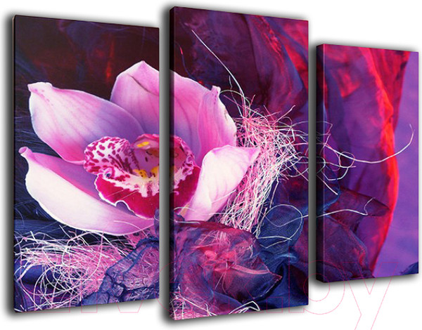 Изображение товара Картина модульная Arthata m-000299 (75x50)