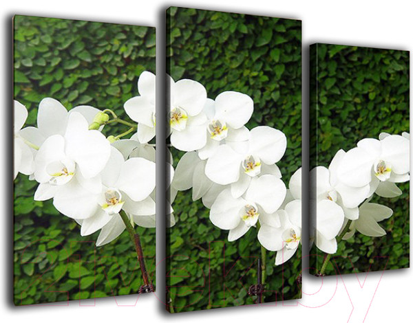 Изображение товара Картина модульная Arthata m-000300 (90x60)