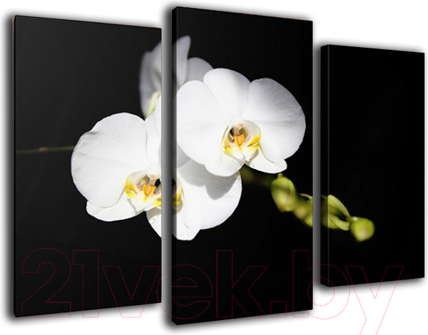 Изображение товара Картина модульная Arthata m-000301 (90x60)