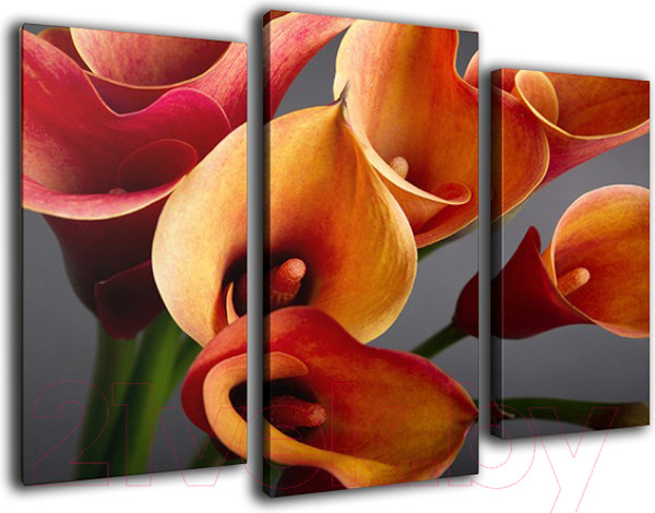 Изображение товара Картина модульная Arthata m-000302 (75x50)