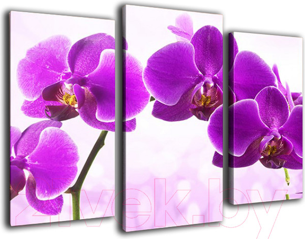 Изображение товара Картина модульная Arthata m-000304 (75x50)