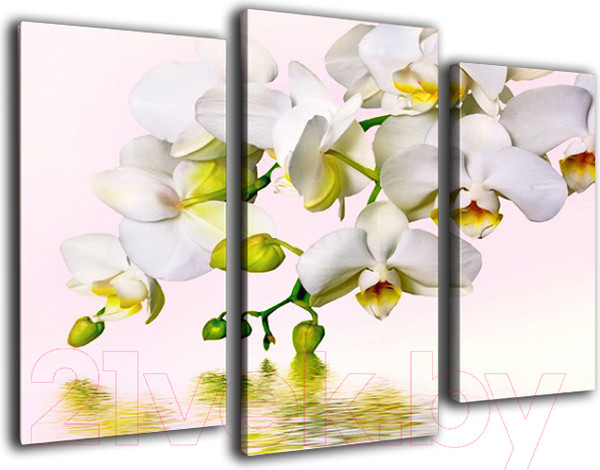 Изображение товара Картина модульная Arthata m-000305 (90x60)