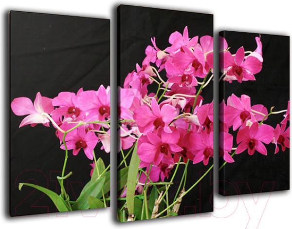 Изображение товара Картина модульная Arthata m-000306 (75x50)