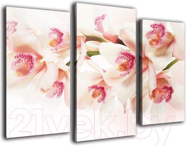 Изображение товара Картина модульная Arthata m-000308 (90x60)