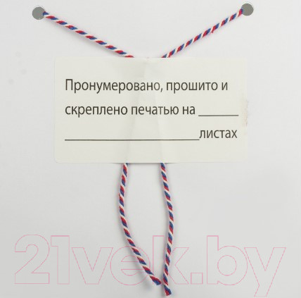 Изображение товара Набор этикеток Brauberg Пронумеровано, прошито и скреплено / 111743