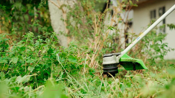 Изображение товара Триммер аккумуляторный Greenworks GD60BCB (2108407)