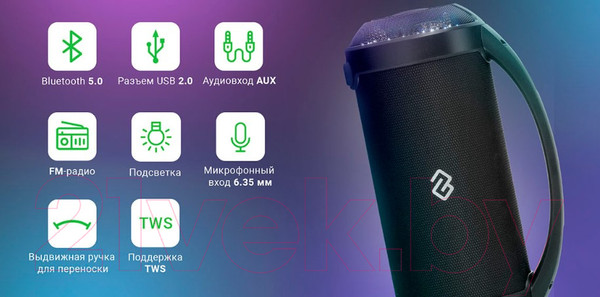 Изображение товара Портативная колонка Digma S-17 (черный)