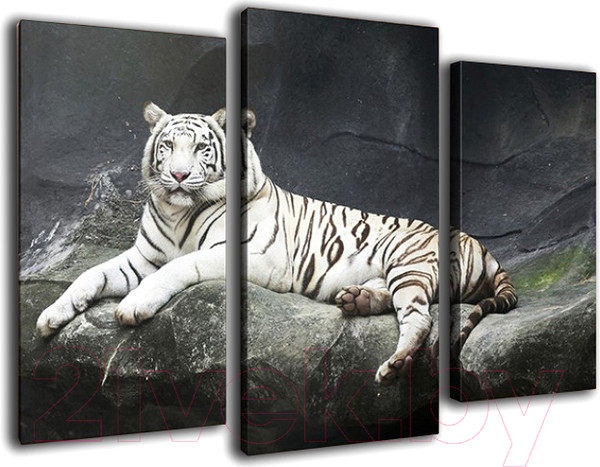 Изображение товара Картина модульная Arthata m-000311 (90x60)